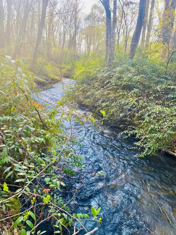 Lot 5 Carringer Road, Robbinsville, NC 28771