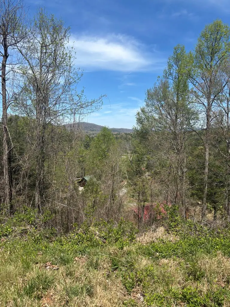 200 Carolina Fox Circle, Murphy, NC 28906 - #1