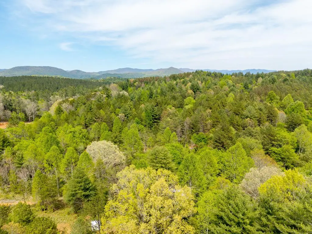 125 Milk And Honey Drive, Shoal Creek, NC 28902 - #1