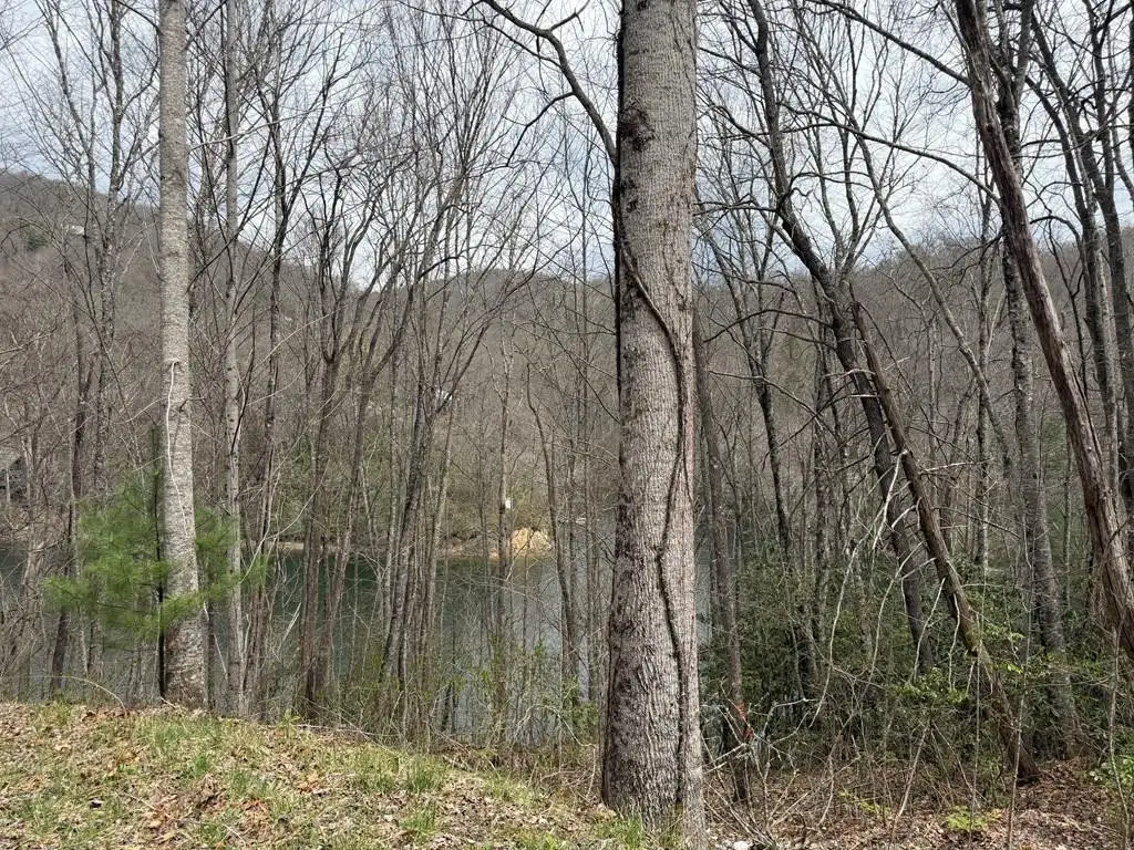 #20 Rainwater Point / Indian Lake Road, Topton, NC 28781 - #1