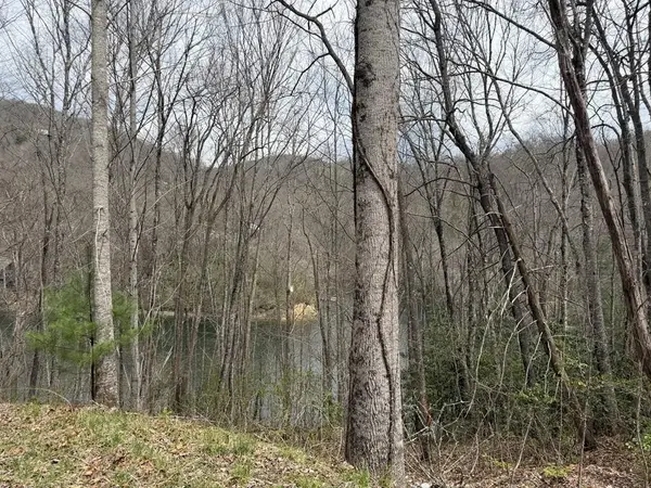 TBD Rainwater Point / Indian Lake Road, Nantahala, NC 28781