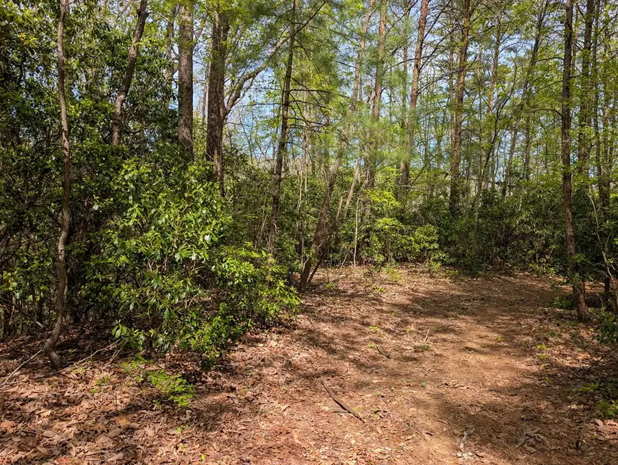 348 Atali Circle, Murphy, NC 28906 - #3