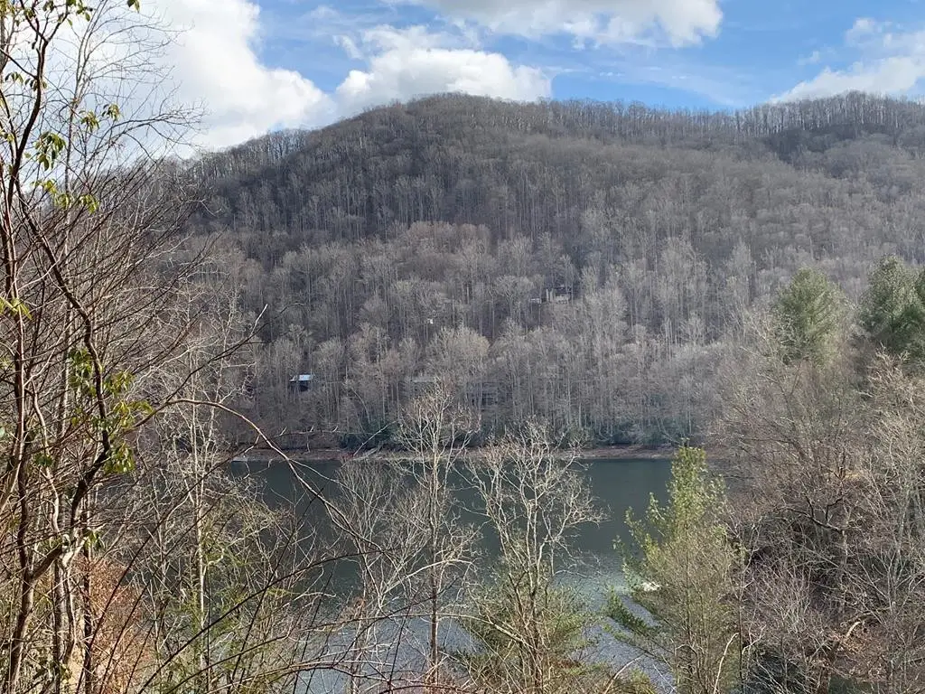 LOT # 11 Forest Vista Lane, Nantahala, NC 28781 - #1