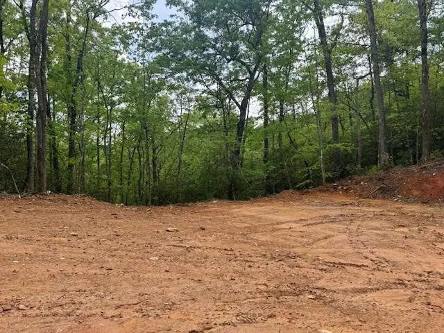 00 Tyler Lane, Marble, NC 28905 - #1