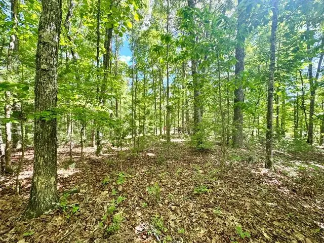 LT 3 Rockridge Road, Murphy, NC 28906 - #1