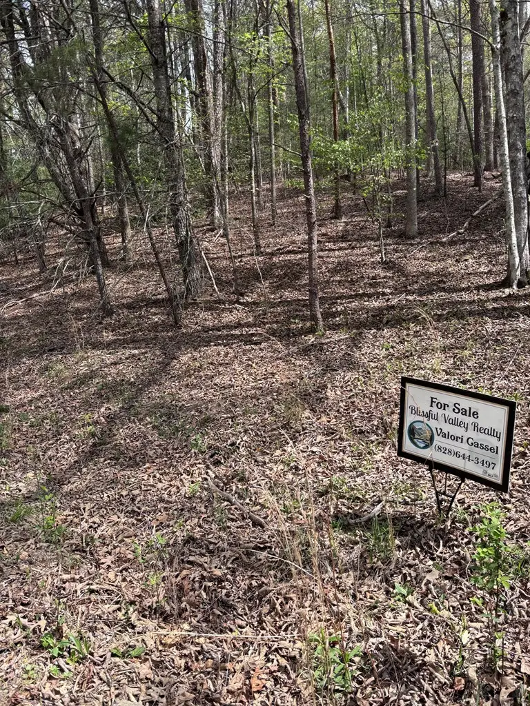 140 Hounds Run Lane, Murphy, NC 28906 - #2