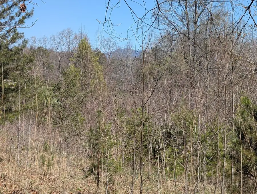 Lot 108 Smokerise Drive, Hayesville, NC 28904 - #3
