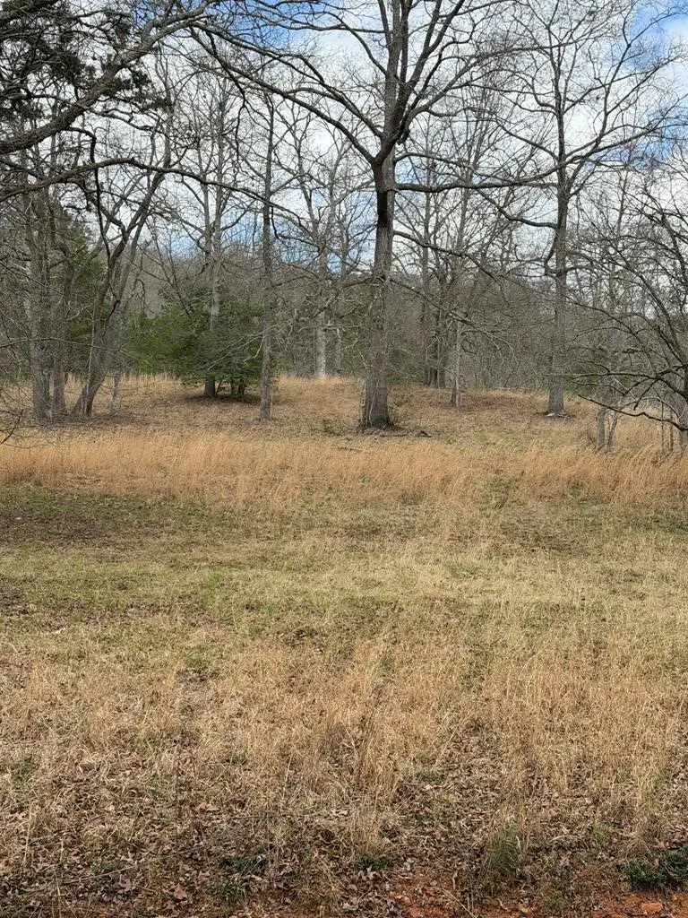 2-5 Country Lane, Murphy, NC 28906 - #1