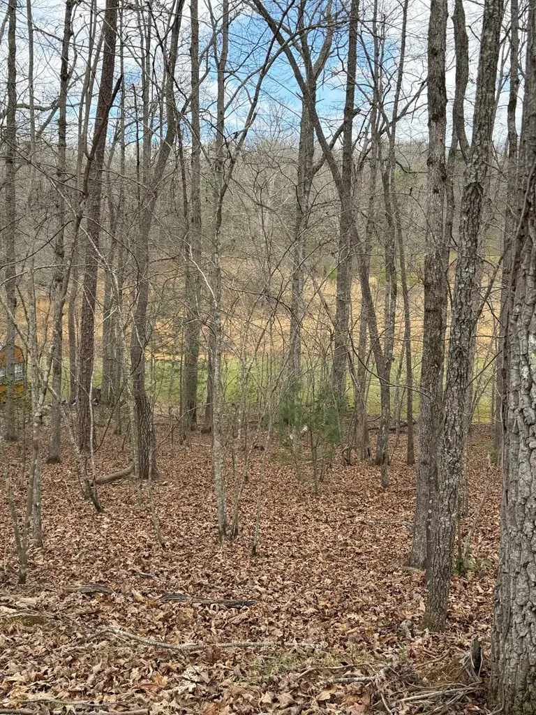 2-5 Country Lane, Murphy, NC 28906 - #3