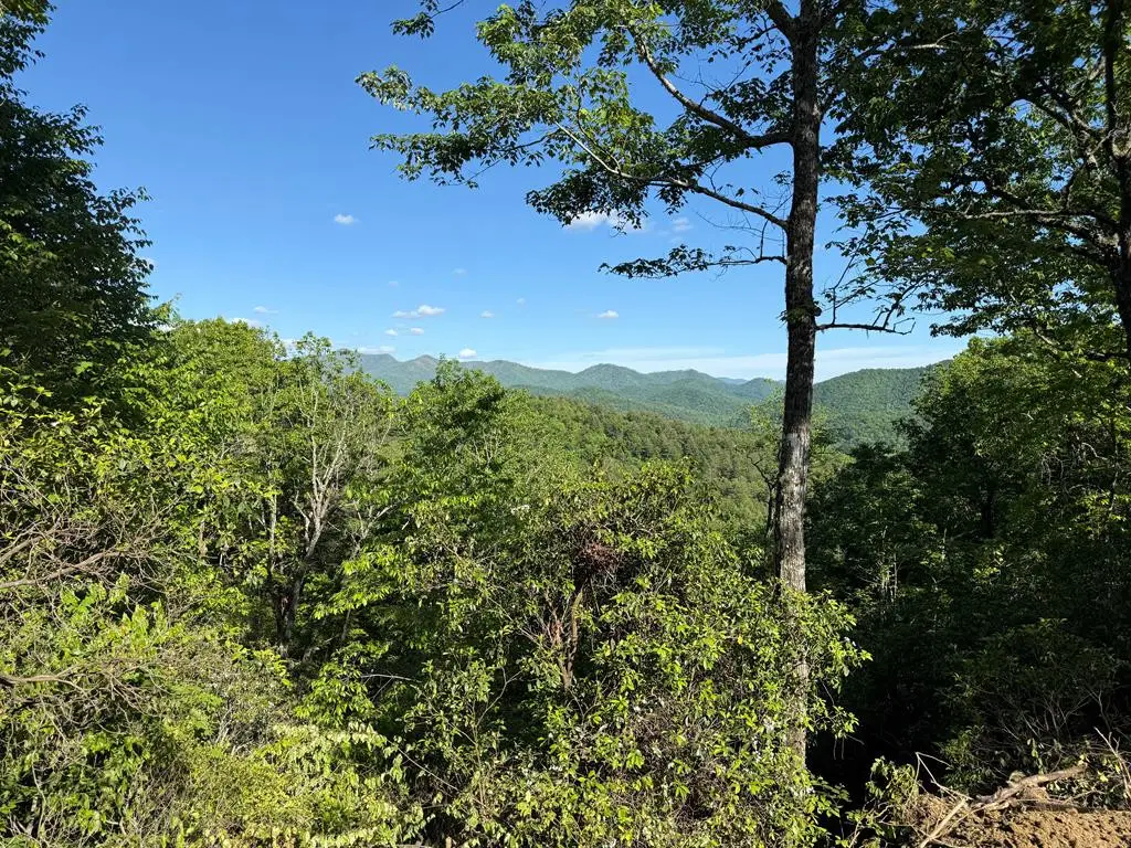 294 Shearer Ridge, Hayesville, NC 28904 - #1