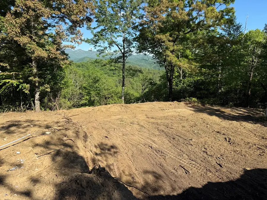 294 Shearer Ridge, Hayesville, NC 28904 - #2