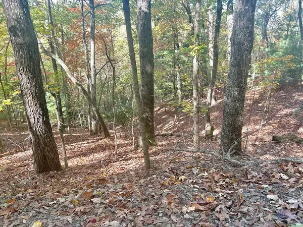 Lot 4 Ridgeline, Brasstown, NC 28902