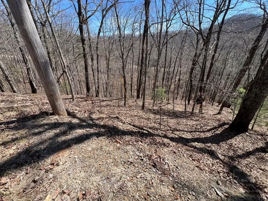 Lot 17 Panorama Dr Wolf Mountain Estates, Murphy, NC 28906 - #2