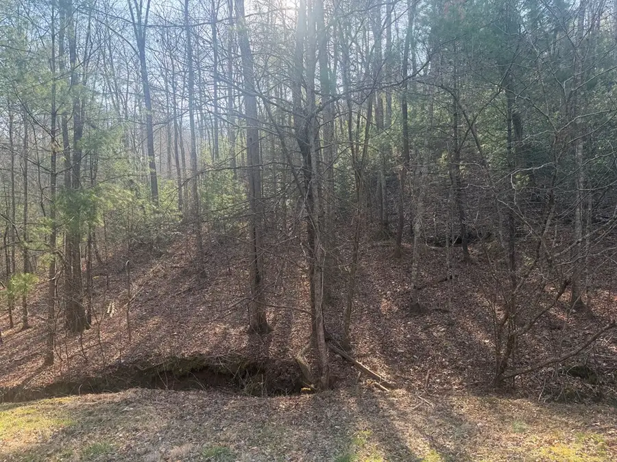 Lot 12 Rainbow Valley Drive, Murphy, NC 28906 - #3