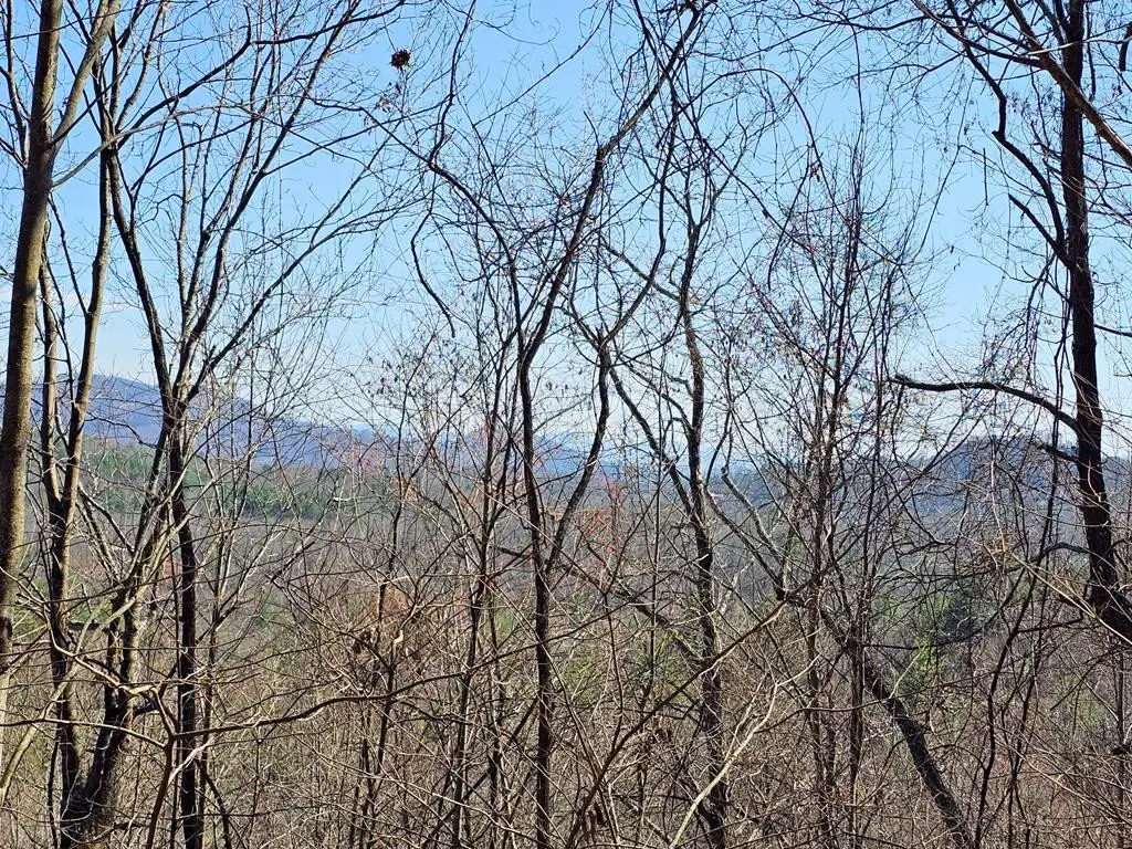 Lot 39 Merlin Trl / Warbler Road, Murphy, NC 28906 - #1