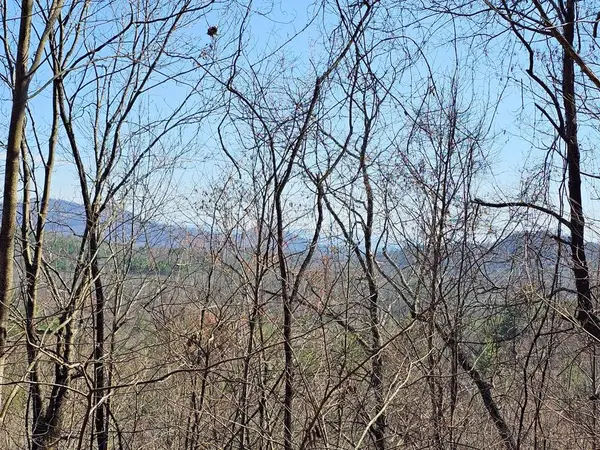 Lot 39 Merlin Trl / Warbler Road, Murphy, NC 28906