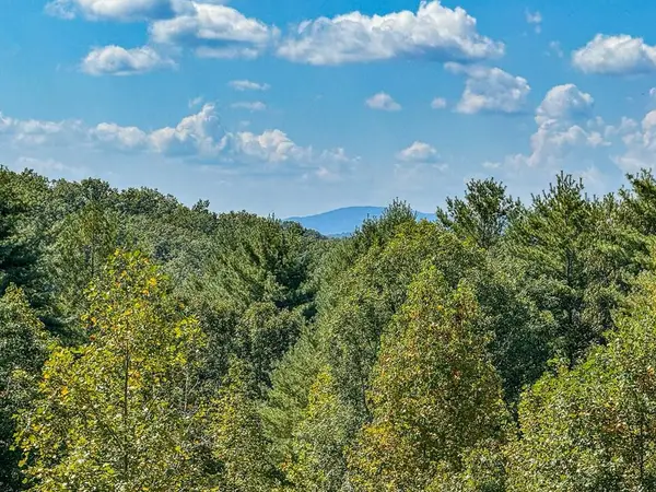 10007 Joe Brown Highway, Murphy, NC 28906
