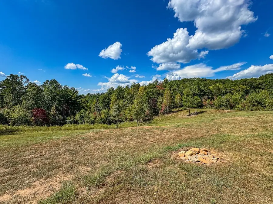 10007 Joe Brown Highway, Murphy, NC 28906 - #3