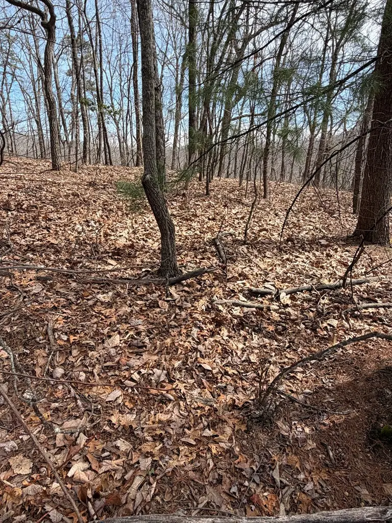 7.26 AC Panorama Drive, Murphy, NC 28906 - #3