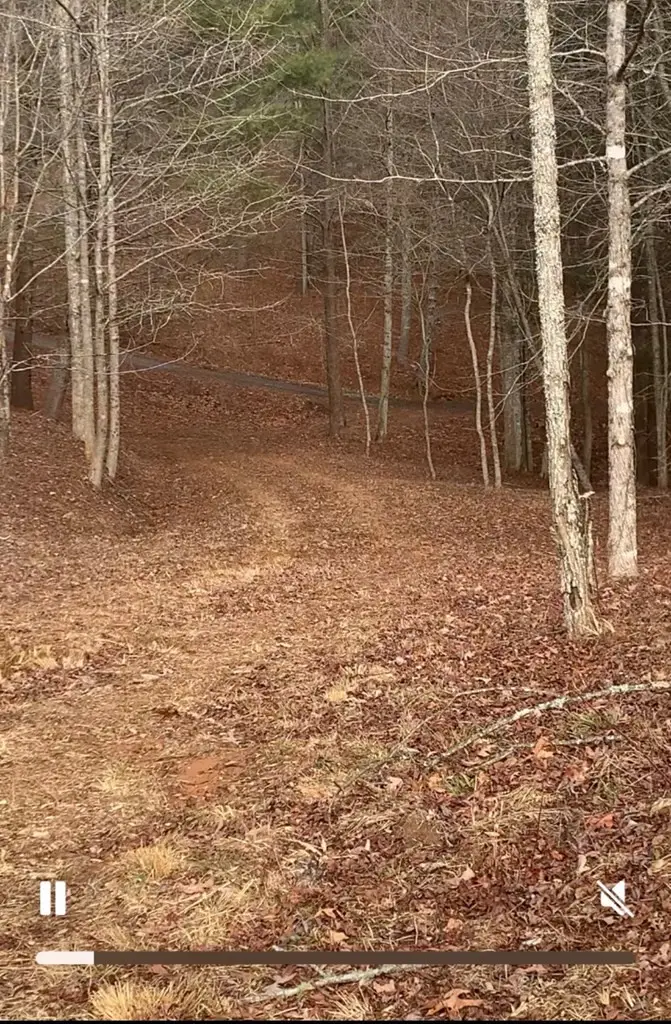 16 Merlin Trail, Murphy, NC 28906 - #2