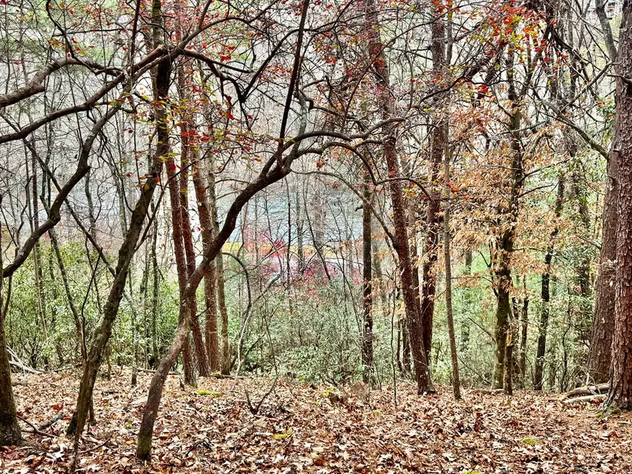 289 Paradise, Murphy, NC 28906 - #2