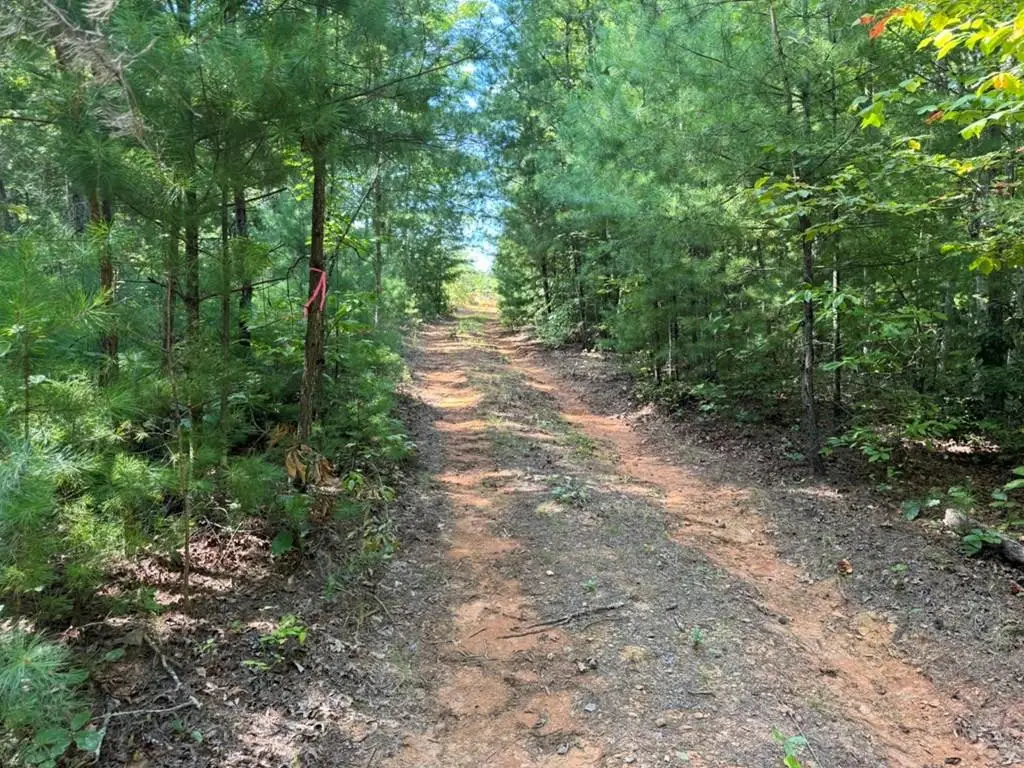 Lot 6&7 Donley Road, Murphy, NC 28906 - #1