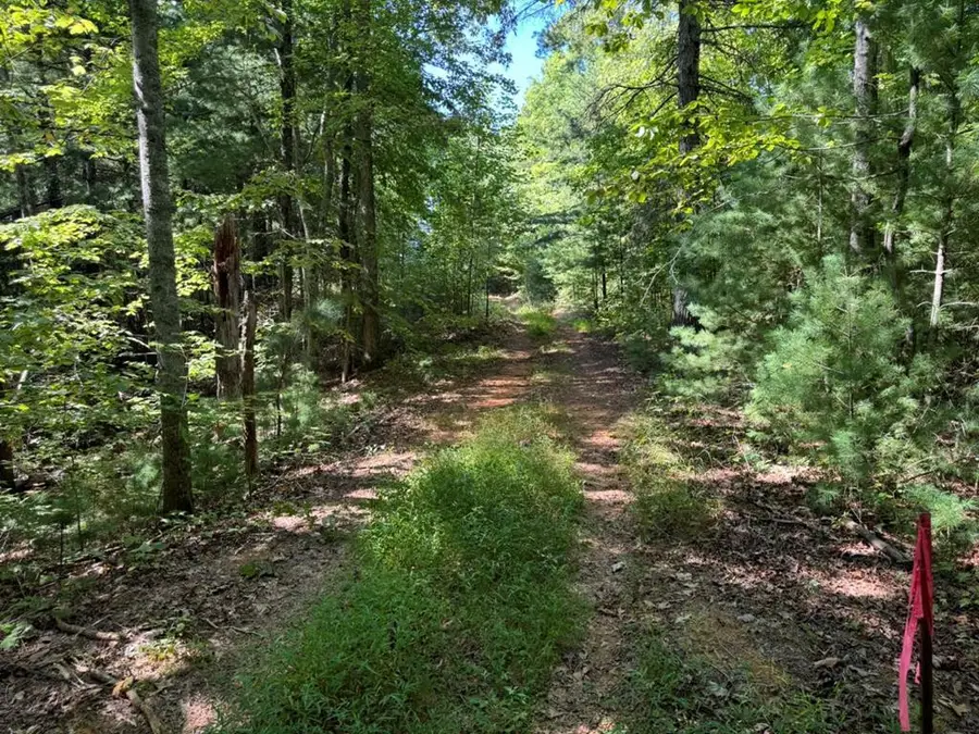 Lot 6&7 Donley Road, Murphy, NC 28906 - #2