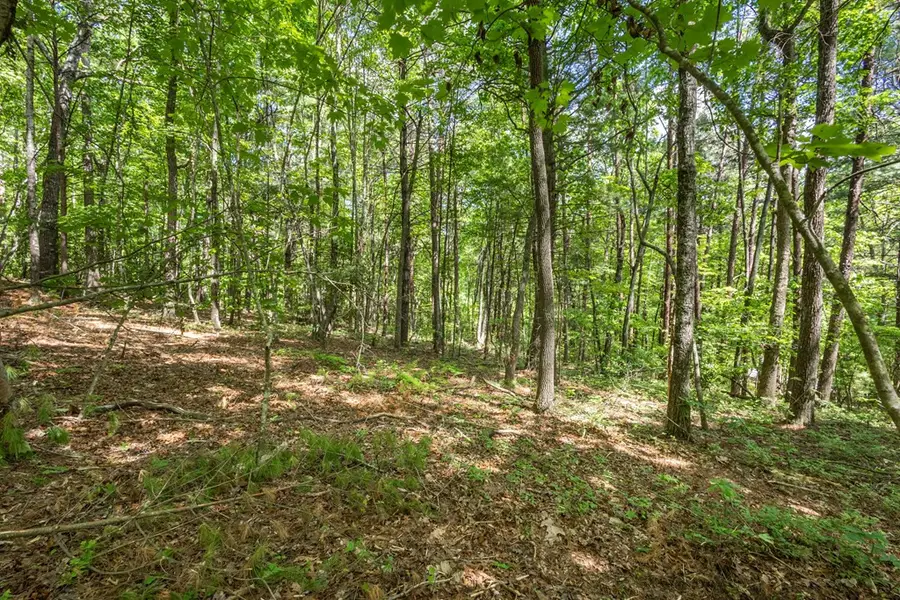 20 AC Pack Mountain Road, Murphy, NC 28906 - #3