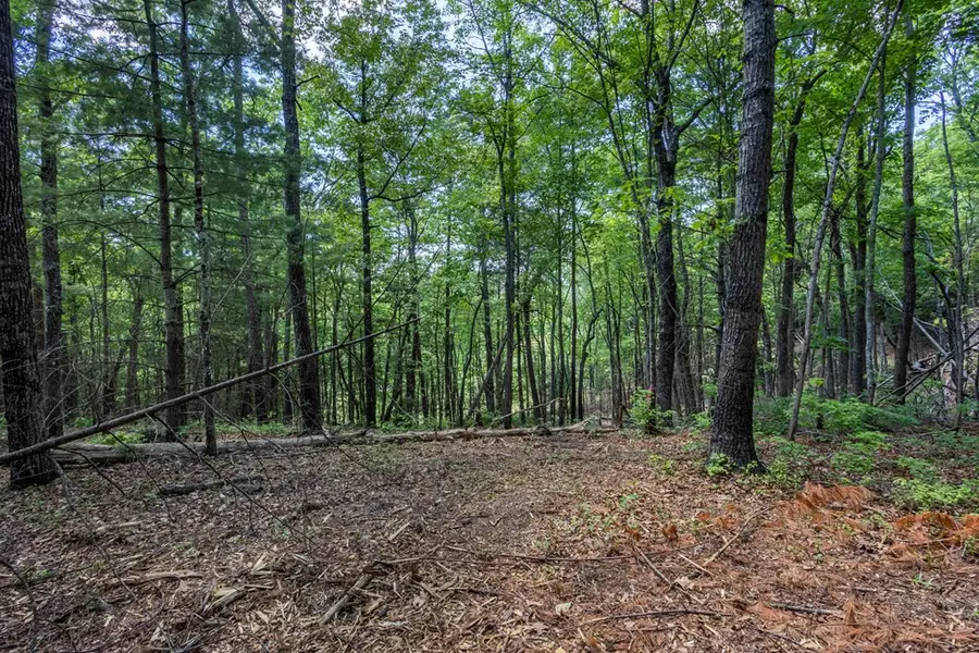 4.3 AC Donley Road, Murphy, NC 28906 - #3