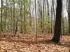 Lot 25 N Laurel Mountain Drive, Brasstown, NC 28902