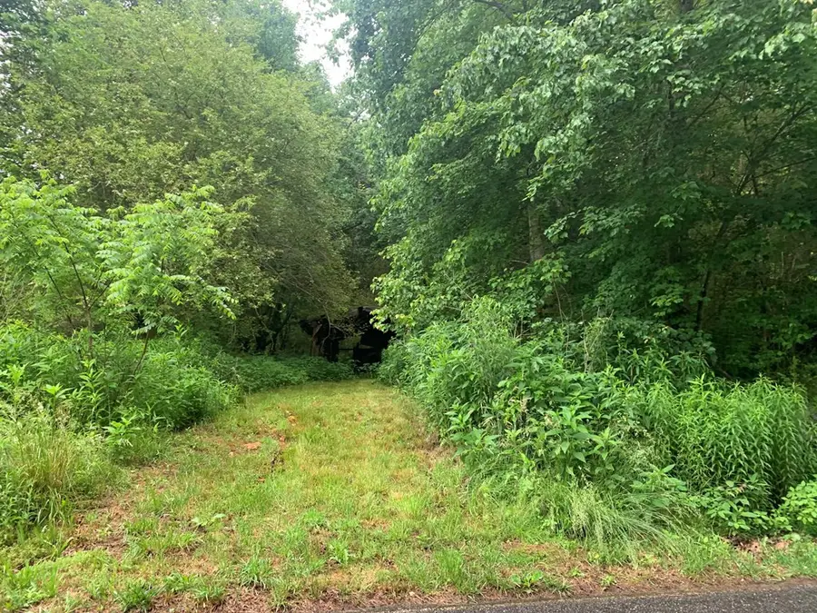 805 Bethabara Road, Hayesville, NC 28904 - #2
