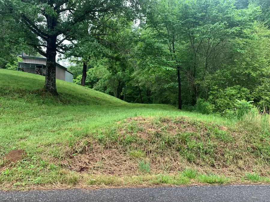 805 Bethabara Road, Hayesville, NC 28904 - #3
