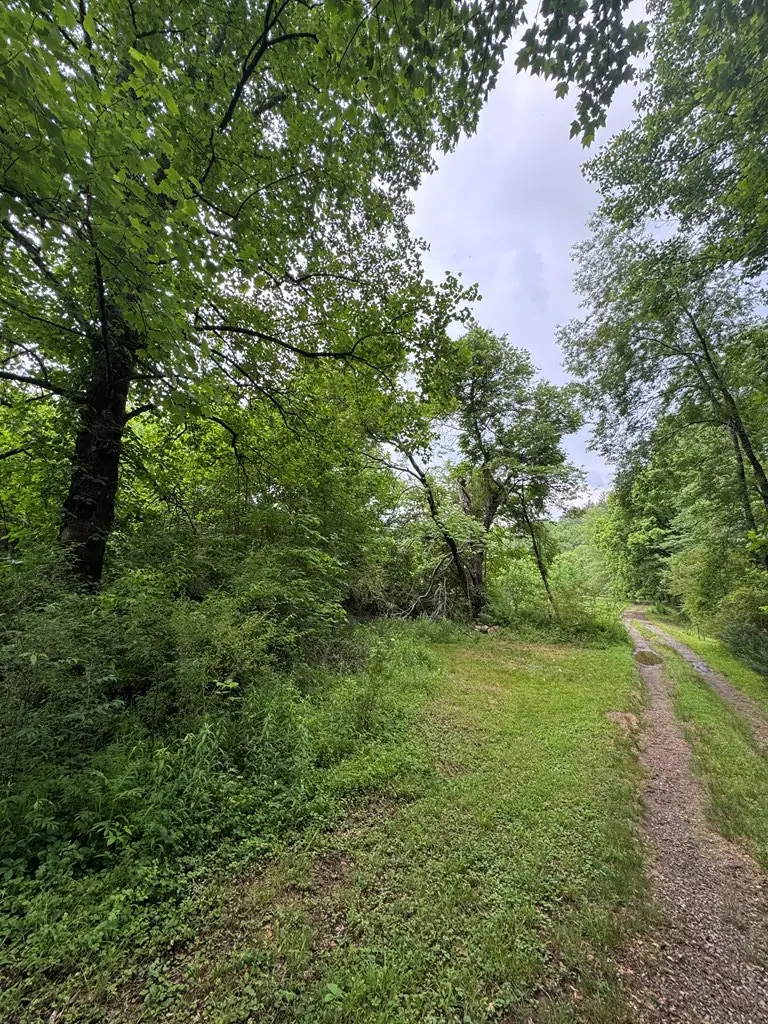 00 Green Acorn Lane, Murphy, NC 28906 - #2