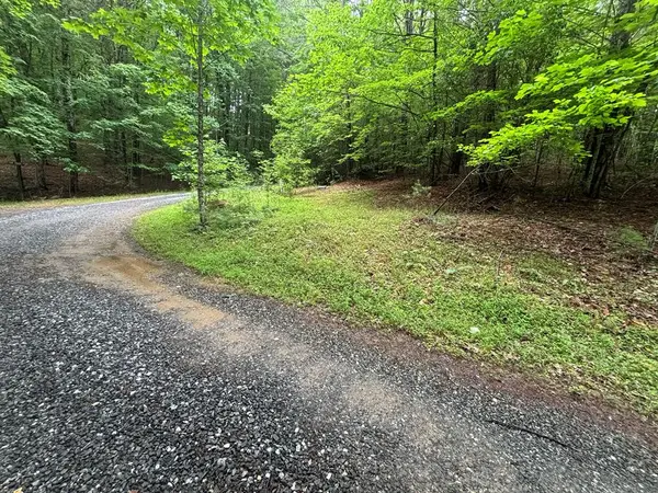 Lot 3 Horse Camp Drive, Hayesville, NC 28904