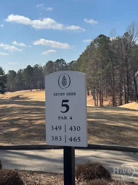 1041 Shadow Creek Way, Greensboro, GA 30642 - Image #3