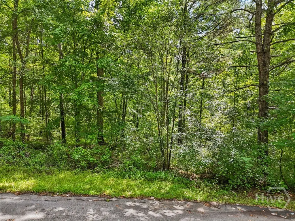 1040 Union Station Road, Greensboro, GA 30642 - Image #1