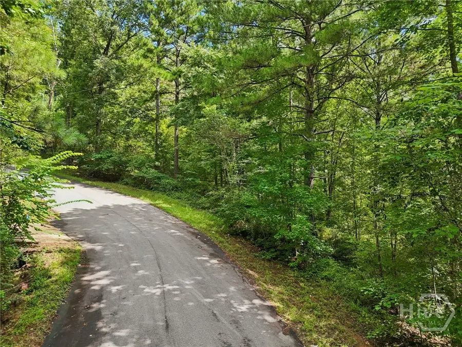 1040 Union Station Road, Greensboro, GA 30642 - Image #3