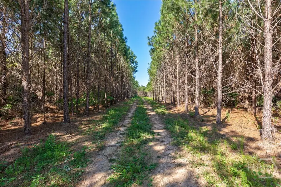 75 Bob Smith Road, Stephens, GA 30667 - Image #3