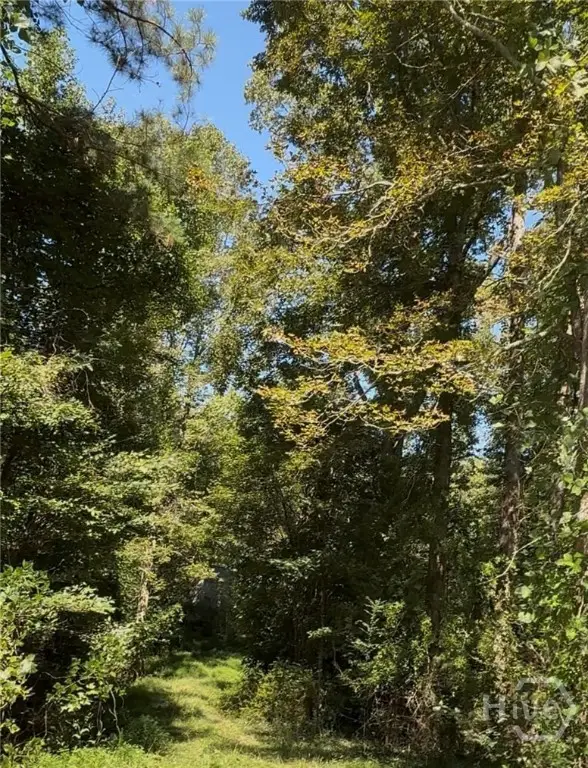 404 Haggard Drive, Danielsville, GA 30633 - Image #3