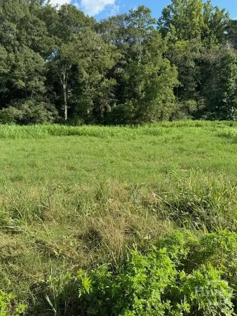0 Rita Ridge #LOT 4, Jefferson, GA 30549 - Image #1