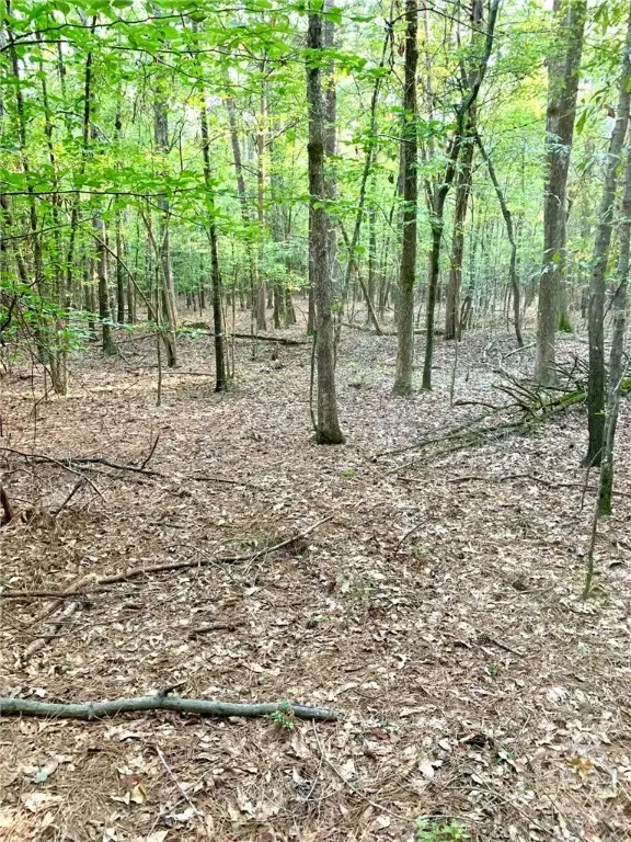 0 Archer Grove School Road #Tract B, Athens, GA 30607