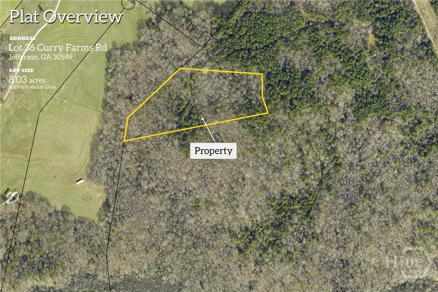 0 Curry Farms Road #Lot 36, Jefferson, GA 30549 - Image #3
