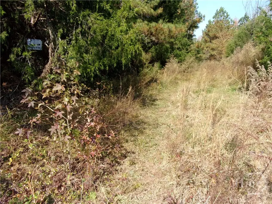 00 River Road, Carlton, GA 30627 - Image #2