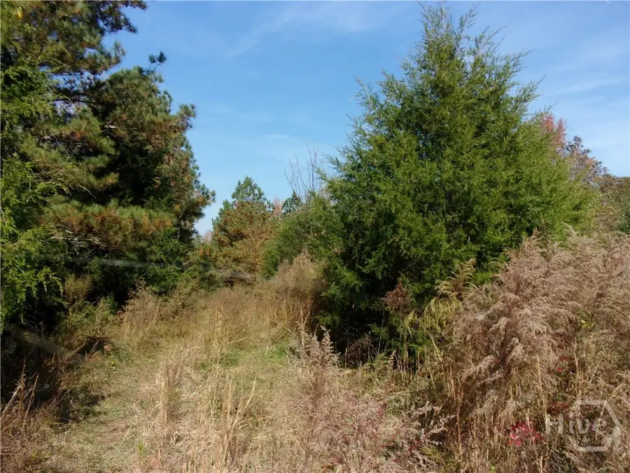 00 River Road, Carlton, GA 30627 - Image #3