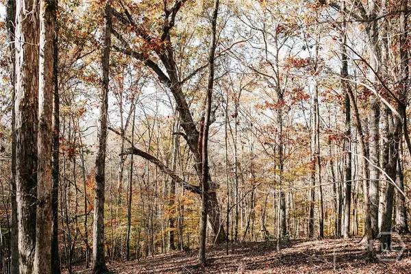 0 Greensboro Road, Crawfordville, GA 30631