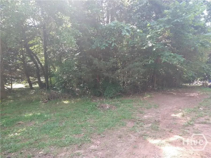 20 Waterwood Cove, Lavonia, GA 30553 - Image #2