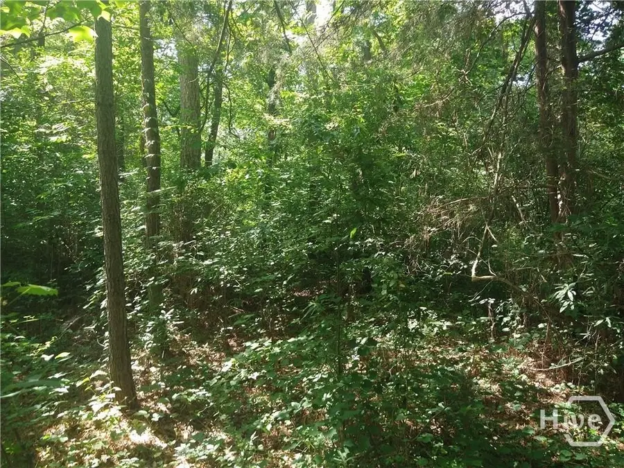 20 Waterwood Cove, Lavonia, GA 30553 - Image #3