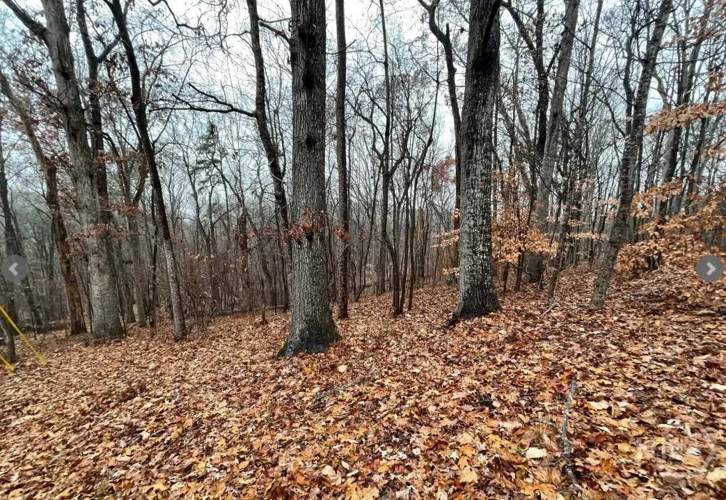 Lot 2134 S Arrowhead Drive, Westminster, SC 29693 - #1