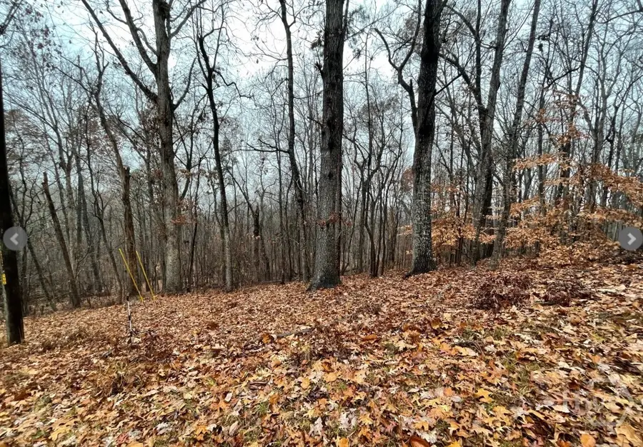 Lot 2134 S Arrowhead Drive, Westminster, SC 29693 - #3