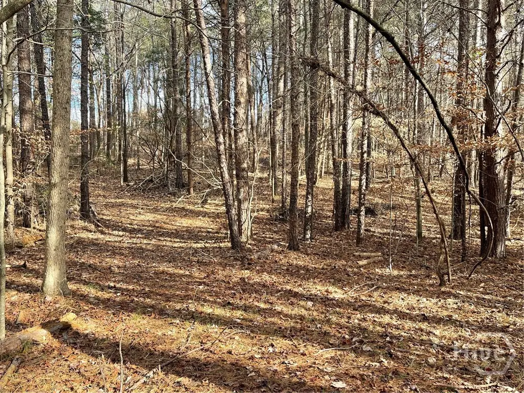 Lot 740 Fairway Lane, Westminster, SC 29693 - #1
